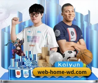 更流畅的观赛体验配套服务